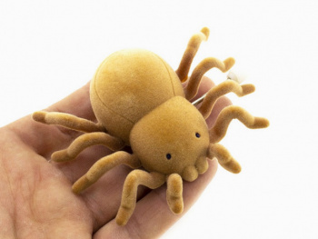 Зав. паук арт. 577-8 Бархатистый (12 шт.) шоубокс= Зав. паук арт. 577-8 Бархатистый (12 шт.) шоубокс=